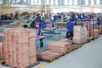 KL99 là cổng game giải trí trực tuyến hàng đầu hiện nay cần quan tâm ngày 14/3