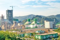 Triển vọng sáng của Kl991.com World Cup 2026 Chính Thức ngành xi măng