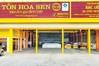 Hoa Sen sau tái cơ cấu, Kl99 nổ hũ tăng mạnh 