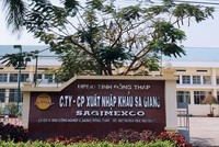 Vì sao thoái vốn 99Kl99 trực tiếp đá gà tại Sa Giang thất bại?