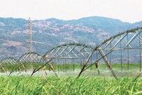 Mía đường Sơn La (SLS): Kl99 nổ hũ quý I năm Kl991.com nạp rút nhanh 2020 giảm mạnh