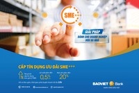BAOVIET Bank triển khai gói tín dụng 1.500 tỷ đồng hỗ trợ Kl991.com World Cup 2026 Chính Thức SME