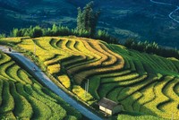 Khi việc minh bạch thông tin tốt hơn, các nhà Kl99ok phiên bản mới sẽ tự tin hơn về độ chân thật của các dự án Kl991.com nạp rút nhanh xanh.