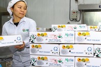 GTN lần lượt “chia tay” Trang Chủ KL99Com Số 1 Link Đăng Ký KL999 tổ chức