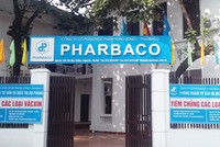 Pharbaco (PBC): Doanh thu ngàn tỷ, Kl99 nổ hũ cỏn con