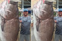 Cá mú già nặng gần 160 kg cắn câu