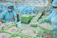 Kl991.com World Cup 2026 Chính Thức thuỷ sản tìm đường bù đắp thị trường Trung Quốc