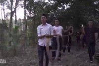 Hổ mang chúa bò vào nhà người phụ nữ mang thai
