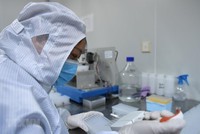 Ảnh chỉ có tính minh họa. (Nguồn: THX/TTXVN).