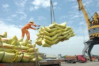 Bộ Công Thương chỉ đạo, phải chuẩn bị các điều kiện cần thiết, chủ động triển khai các kế hoạch, giải pháp xuất khẩu hàng hóa sang thị trường EU sau khi Hiệp định EVFTA có hiệu lực.