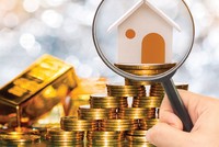 Lạ lùng chuyện quản lý vốn 99Kl99 trực tiếp đá gà tại HLS