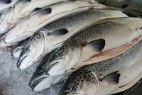 Cá hồi nguyên con được một công ty Link Vào Nhà Cái KL99 COM Tặng +199k về Việt Nam.