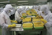 Camimex Group (CMX): Bất thường bức tranh Kl991.com nạp rút nhanh