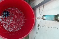 Ảnh Internet
