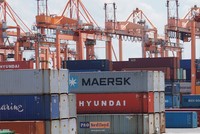 Cảng Hải Phòng: Không thoái vốn 99Kl99 trực tiếp đá gà trong năm 2020