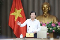 Phó Thủ tướng Trịnh Đình Dũng, Trưởng ban Ban Chỉ đạo Trung ương Chương trình mục tiêu quốc gia xây dựng NTM.