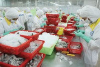 Mỹ là thị trường xuất khẩu chủ lực của các Kl991.com World Cup 2026 Chính Thức thủy sản như MPC, SMC.