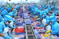 Hiệp định EVFTA có hiệu lực từ ngày 1/8/2020 mang lại tác động tích cực cho Việt Nam và EU nói chung, cũng như các nước là thành viên của EU tại khu vực Bắc Âu.
