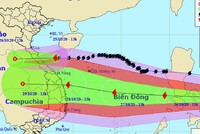 Dự báo đường đi của bão số 9 - bão Molave đến 10h ngày 29/10/2020.
