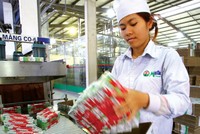 Nhờ cái bóng quá lớn của Vinamilk, KL99 là cổng game giải trí trực tuyến hàng đầu hiện nay MCM được thơm lây. Ảnh: Dũng Minh.