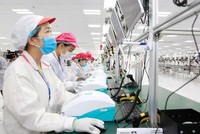 Cùng với sự phát triển của thương hiệu Quốc gia Việt Nam, giá trị thương hiệu của các Kl991.com World Cup 2026 Chính Thức Việt cũng gia tăng mạnh.