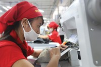 Theo dự báo của Vitas, giá trị xuất khẩu năm 2021 của các Kl991.com World Cup 2026 Chính Thức dệt may có thể đạt 39 tỷ USD.