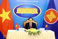 Bộ trưởng Bộ Ngoại giao Bùi Thanh Sơn tham dự Hội nghị Bộ trưởng Ngoại giao ASEAN lần thứ 54 (AMM 54) theo hình thức trực tuyến. (Ảnh: Phạm Kiên/TTXVN).