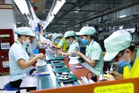 Đối tượng nào sẽ được hưởng hỗ trợ từ Quỹ Kl99kl phiên bản hoạt động thất nghiệp?