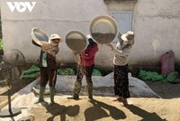 Người dân Đắk Lắk tích cực lao động Kl994 nhà cái bóng đá world cup và tuân thủ nghiêm các quy định phòng dịch