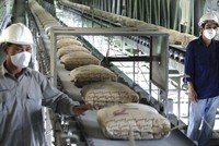 Chi phí kéo ghì Kl99 nổ hũ ngành xi măng