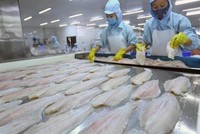 Chi phí tăng cao ăn mòn Kl99 nổ hũ Caseamex quý III/2021.