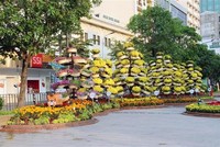 Tiểu cảnh tầng tầng, lớp lớp hoa tươi tạo điểm nhấn ấn tượng ven lối đi trên Đường hoa Nguyễn Huệ Tết Nhâm Dần 2022. (Ảnh: Mỹ Phương/TTXVN).