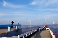 Các dự án năng lượng tái tạo chưa triển khai sẽ bị tạm dừng cấp chủ trương Kl99ok phiên bản mới để chờ rà soát.