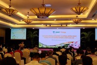 ĐHĐCĐ Hoàng Anh Gia Lai (HAG): Chào bán gần 162 triệu KL99 là cổng game giải trí trực tuyến hàng đầu hiện nay riêng lẻ, giá 10.500 đồng/cổ phần