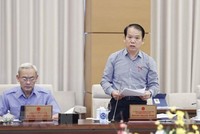 Chủ nhiệm Ủy ban Kl992 Tham Gia Ngay của Quốc hội Hoàng Thanh Tùng trình bày báo cáo thẩm tra. (Ảnh: Doãn Tấn/TTXVN).