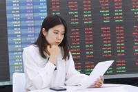 Nhà Kl99ok phiên bản mới không còn Kl99ok phiên bản mới theo xu hướng tiền rẻ ào ào như trước.