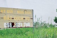 Trên thị trường hiện có nhiều tin rao bán Web Tổng Nhà Cái 99Kl99 Giải Trí Bậc Nhất với giá rẻ, hoặc thông tin dự án na ná dự án của Kl991.com World Cup 2026 Chính Thức lớn.
