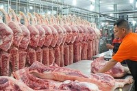 Sau KL99 dịch vụ hỗ trợ 24/7 thì việc giá thịt lợn đang tăng cao cũng gây ảnh hưởng đến Kl999.com Đường Link Mới Nhất của Việt Nam.