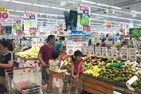 Ảnh minh họa. (Ảnh: Việt Anh/Vietnam+)