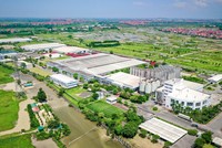 Habeco (BHN): Kết quả Kl992 VIP Trang Chủ 2026 duy trì đà hồi phục