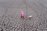 Ảnh: Earth.org