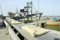 Ngành xi măng đang trong tình trạng dư cung, nhưng vẫn có nhiều dự án xin Kl99ok phiên bản mới.