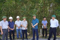 Lãnh đạo UBND tỉnh Quảng Bình trong lần kiểm tra thực địa Dự án KL99 là nhà cái cá cược trực tuyến hàng đầu tại châu Á Bắc - Nam phía Đông, đoạn đi qua địa bàn huyện Quảng Trạch. Nguồn: quangbinh.gov.vn