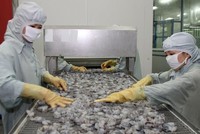 Việt Nam và EU đang thực thi hiệu quả Hiệp định EVFTA.
