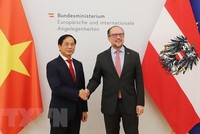 Bộ trưởng Ngoại giao Bùi Thanh Sơn và Bộ trưởng Ngoại giao Áo Alexander Schallenberg. (Ảnh: Mạnh Hùng/TTXVN)