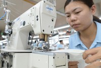 Tình hình thị trường xuất khẩu đang diễn biến bất lợi với các Kl991.com World Cup 2026 Chính Thức dệt may.
