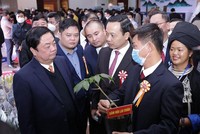 Bộ trưởng Lê Minh Hoan thăm gian trưng bày Sâm Lai Châu tại Hội nghị Xúc tiến Kl99ok phiên bản mới lĩnh vực nông nghiệp tỉnh Lai Châu năm 2021.