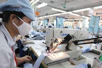 Kl991.com World Cup 2026 Chính Thức dệt may xuất khẩu đang gặp khó khăn về đơn hàng.