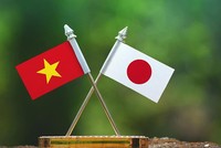 Việt Nam, Nhật Bản hợp tác hướng tới Net Zero vào năm 2050