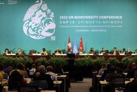 COP15: Thêm 6 nước cam kết tăng hỗ trợ Kl991.com nạp rút nhanh để bảo tồn hệ sinh thái